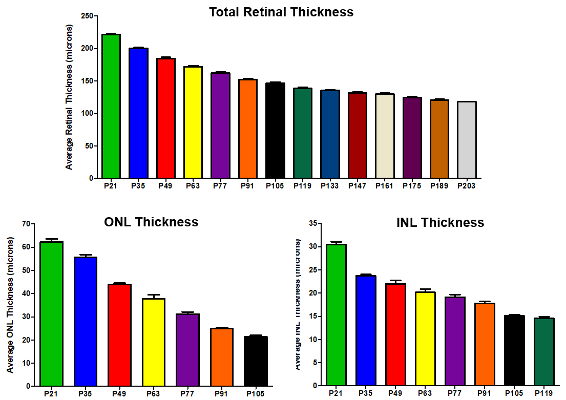 P23H Retinal Thickness