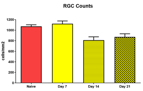 IR RGCs
