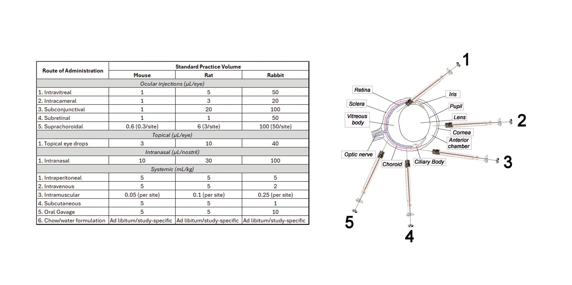 Dosing routes table and ocular anatomy diagram showing intravitreal, intracameral, subconjunctival, subretinal, and suprachoroidal injection sites with standard practice volumes for mouse, rat, and rabbit